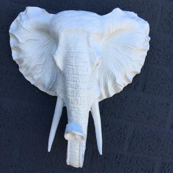 Schöner weißer Elefantenkopf als Wandschmuck, wunderbar